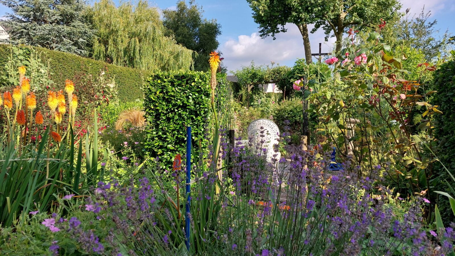 🌱Top Tips for Gardening in July - La Rabine Jardin